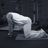 Ab Wheel Rollout