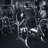 Standing Leg Curl